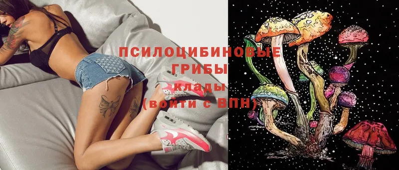 Псилоцибиновые грибы Magic Shrooms  Гусиноозёрск 